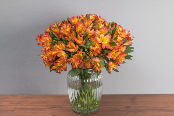 BELMONT VASE WITH ALSTROEMERIA