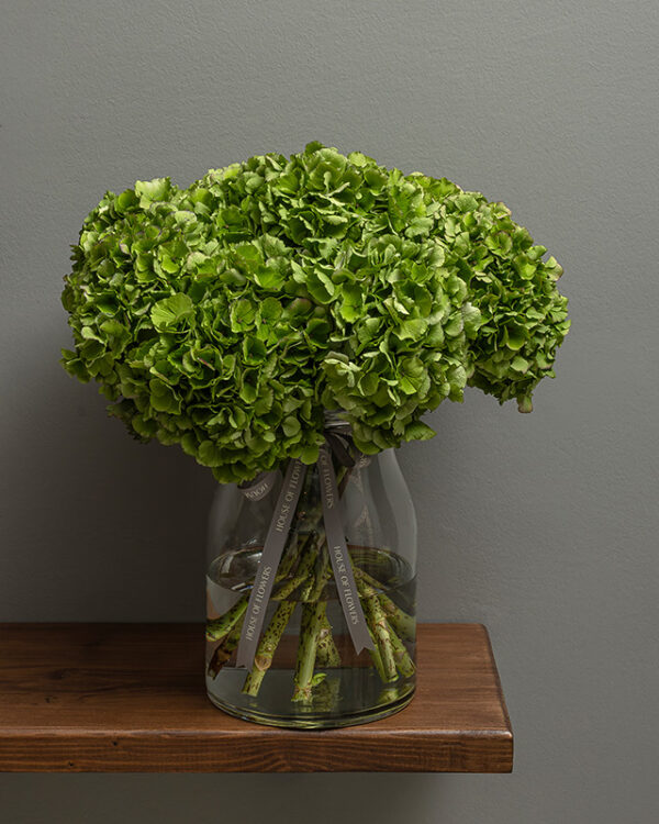 APOTHECARY VASE WITH HYDRANGEAS